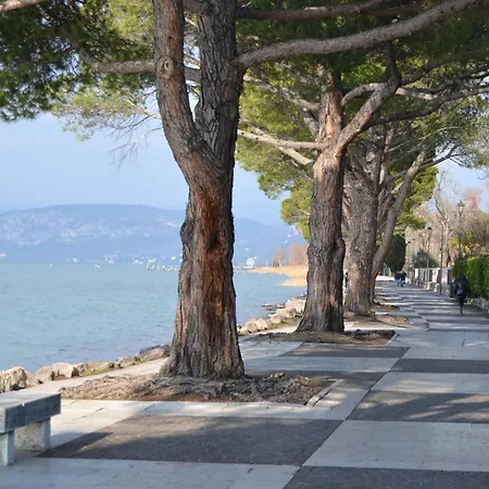 Camelia - A 50 M Dal Apartament *